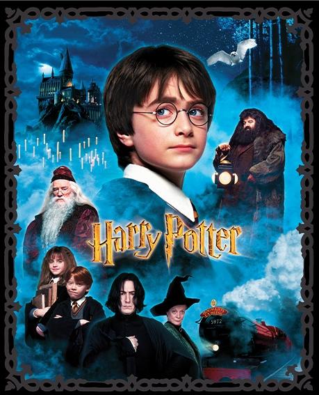 Pre-Order - 15212.99 Harry Potter Panel 36"x44"