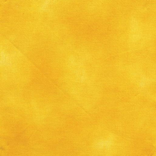 0204532B Saffron Shadow Blush