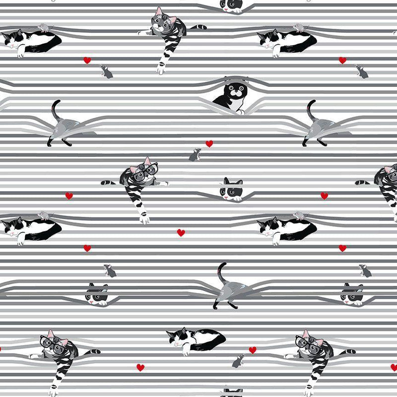 CD3020-White Peekaboo Shade Cats - Smitten Kitten