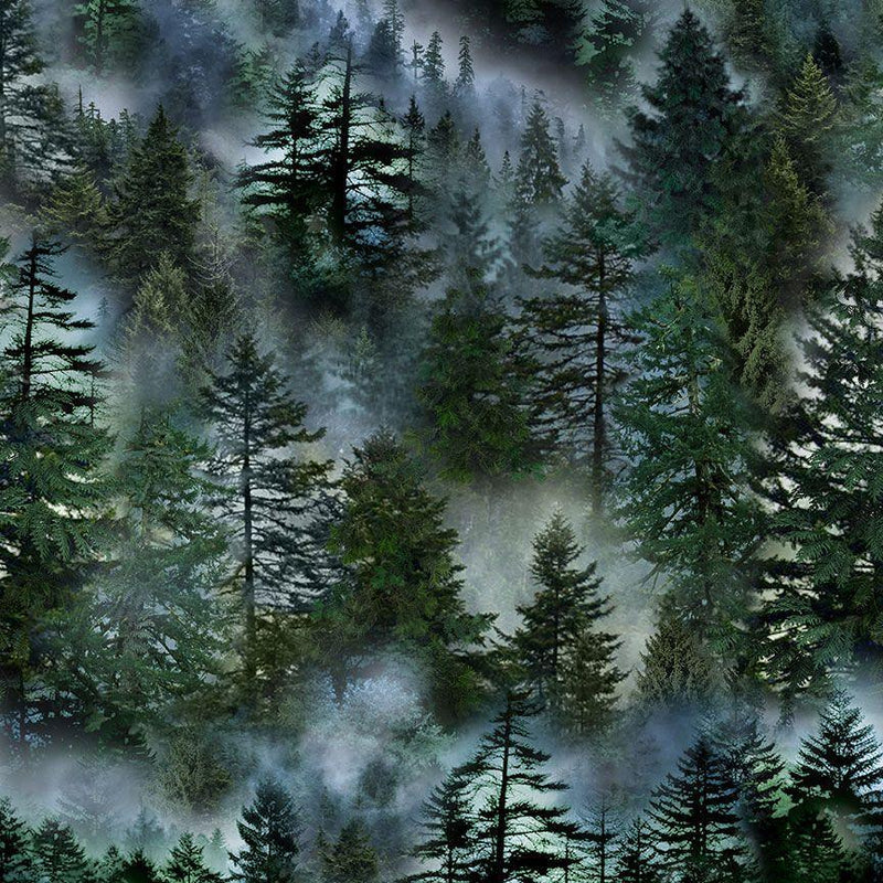 CD3528 Evergreen Forest