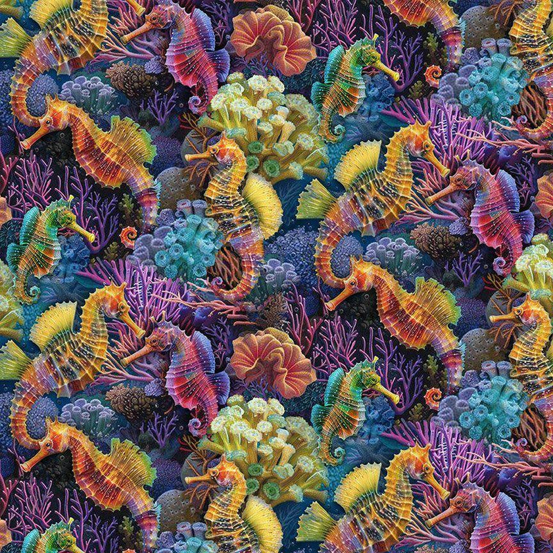 CD3813 Multi Reef Seahorses