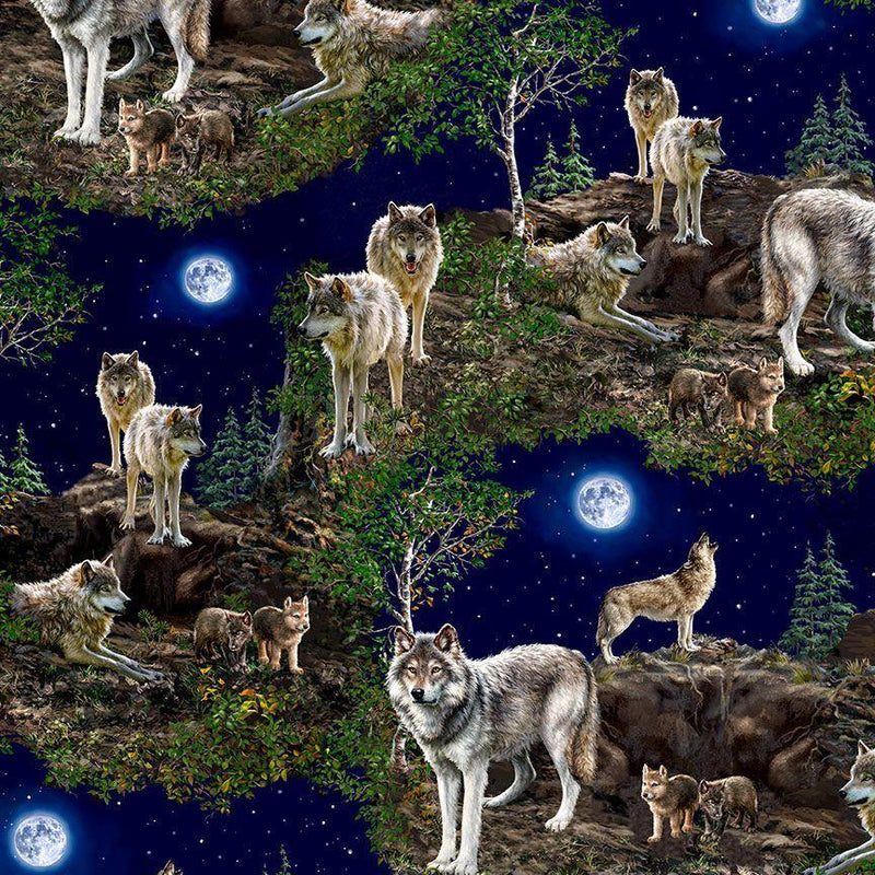 CD3848 Night Wolf Scenic