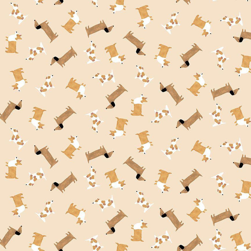 D3293 Wheat Raise the Woof - Muuts About You