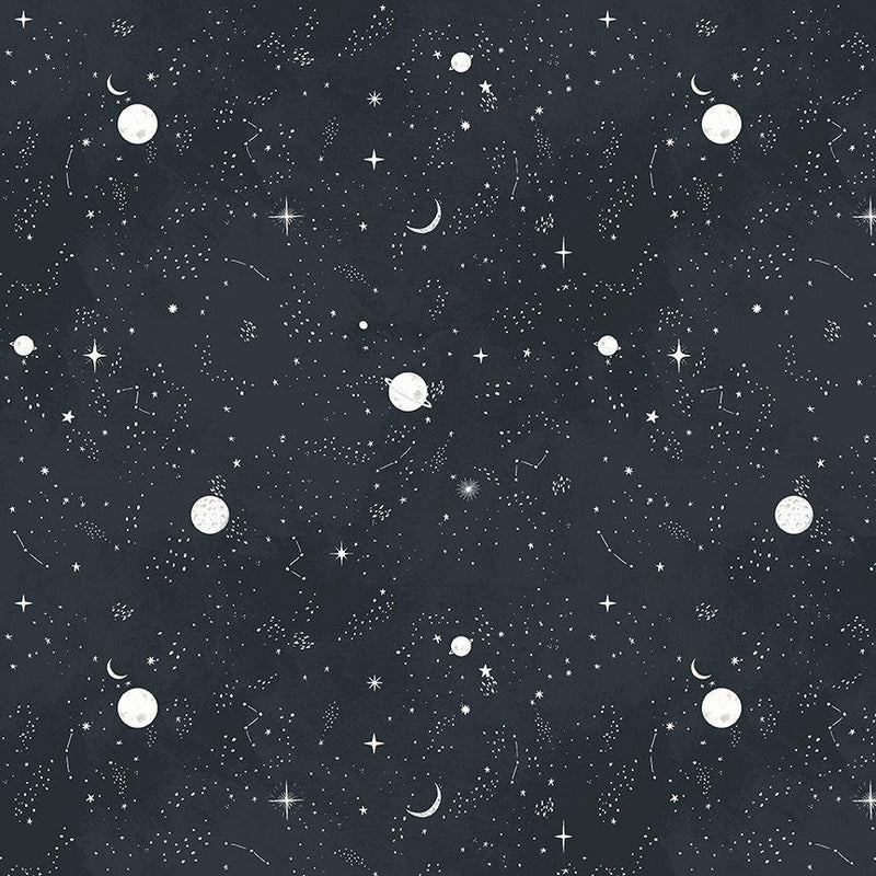 D3346 Midnight Stargazing - Moon Garden