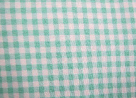 DS.1002.B Desert Sky Mint Gingham Cotton/Spandex Knit