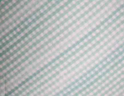 6022-BT Lt Teal Sweet Gingham - First Impressions Flannel