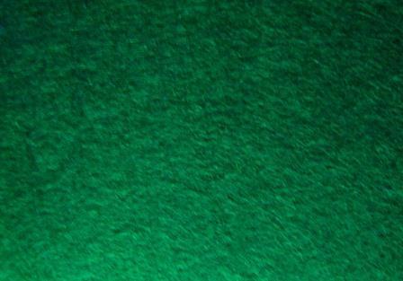 WCF001.0745 Evergreen Wool Felt 20% Wool 80% Rayon