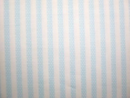 Y1690.29 Lt Blue Dotted Stripes - Animal ABCs