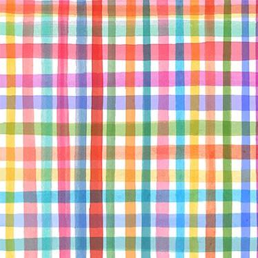12574-Multi Rainbow Plaid - Books Are Magic
