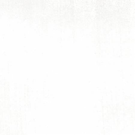 30150.101 White Paper Grunge Basics
