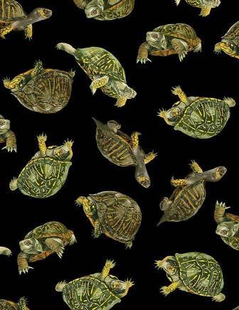 C1175 Black Realistic Box Turtles