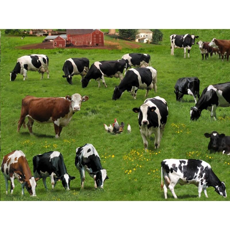 ELS337-GRE Cows in Fields - Farm Animals
